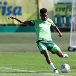 César Greco/Palmeiras