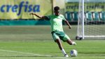César Greco/Palmeiras