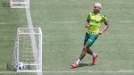 Rafael Navarro - Palmeiras