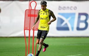 Pulgar - Chile - Flamengo