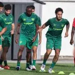 Fluminense recebe o Grêmio pelo Campeonato Brasileiro (Marcelo Gonçalves/Fluminense FC)
