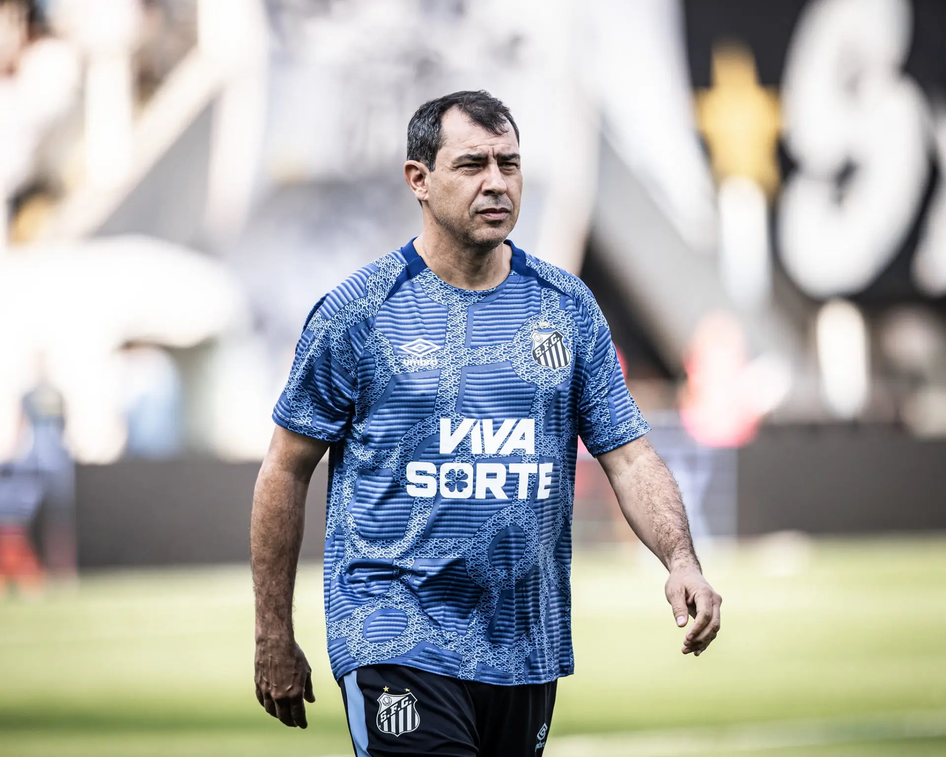 Vasco tem conversas avançadas pela contratação de Fábio Carille Vasco tem conversas avançadas pela contratação de Fábio Carille