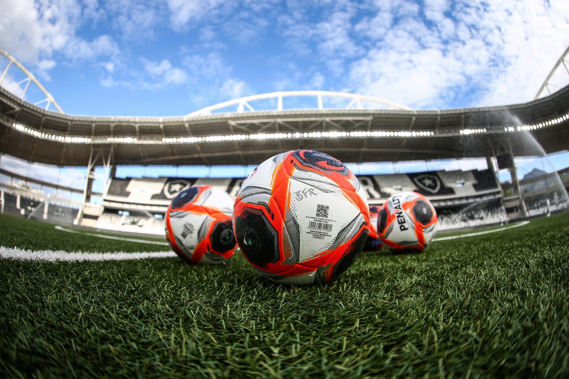 Gramado do estádio Nilton Santos, do Botafogo (Arthur Barreto/Botafogo)