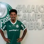 Palmeiras