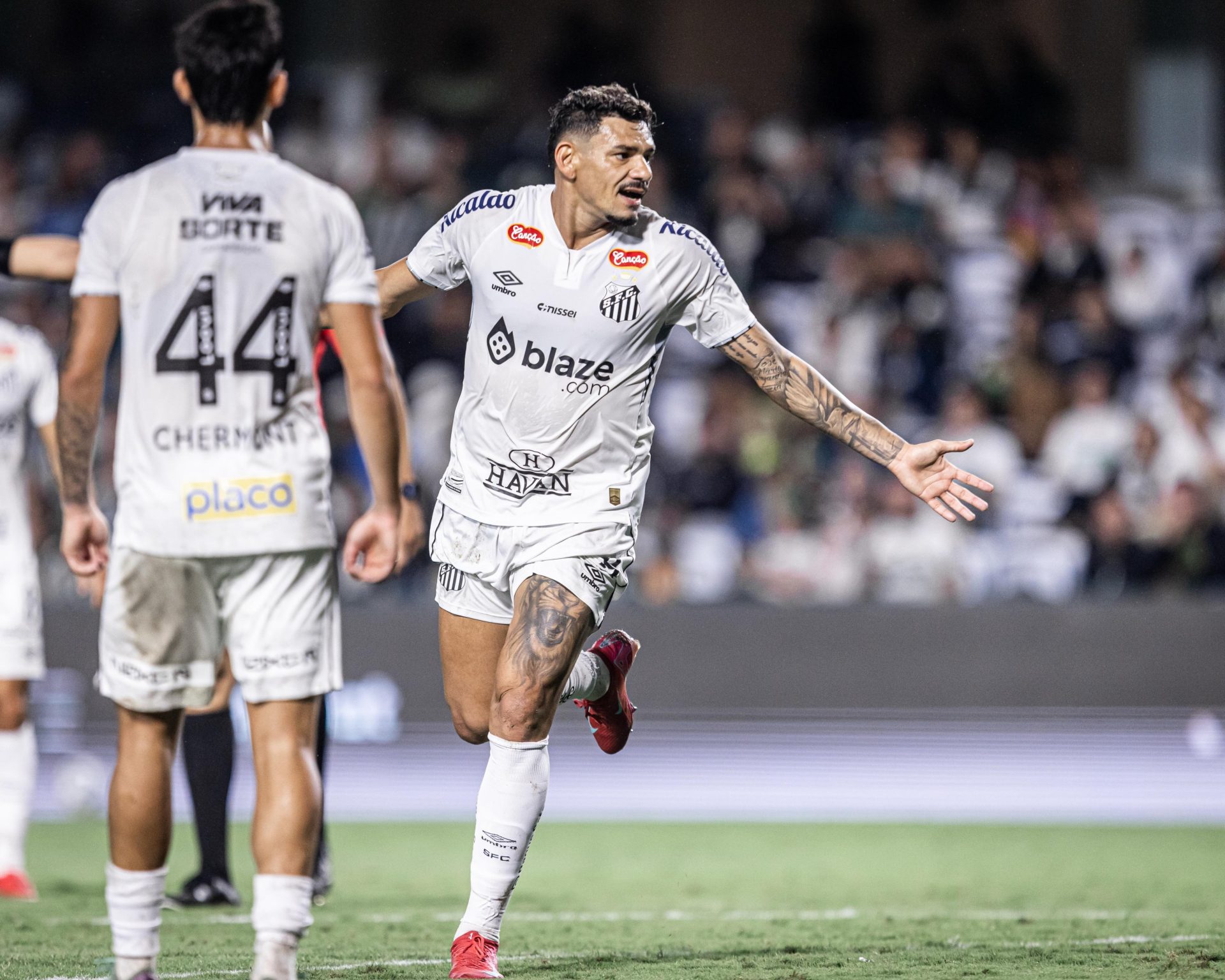 Tiquinho Soares comemorando o gol ( Divulgação/Santos FC)