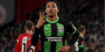 João Pedro, do Brighton. Foto: IMAGO.