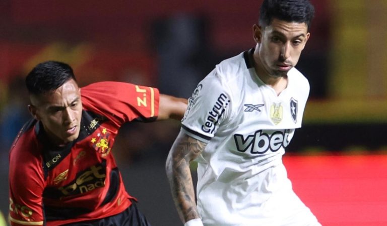 Buscando vaga na Libertadores, Botafogo enfrenta o Sport no Nilton Santos