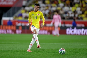 Portilla durante partida da seleção colombiana | Foto: Adam Hunger - Getty Images