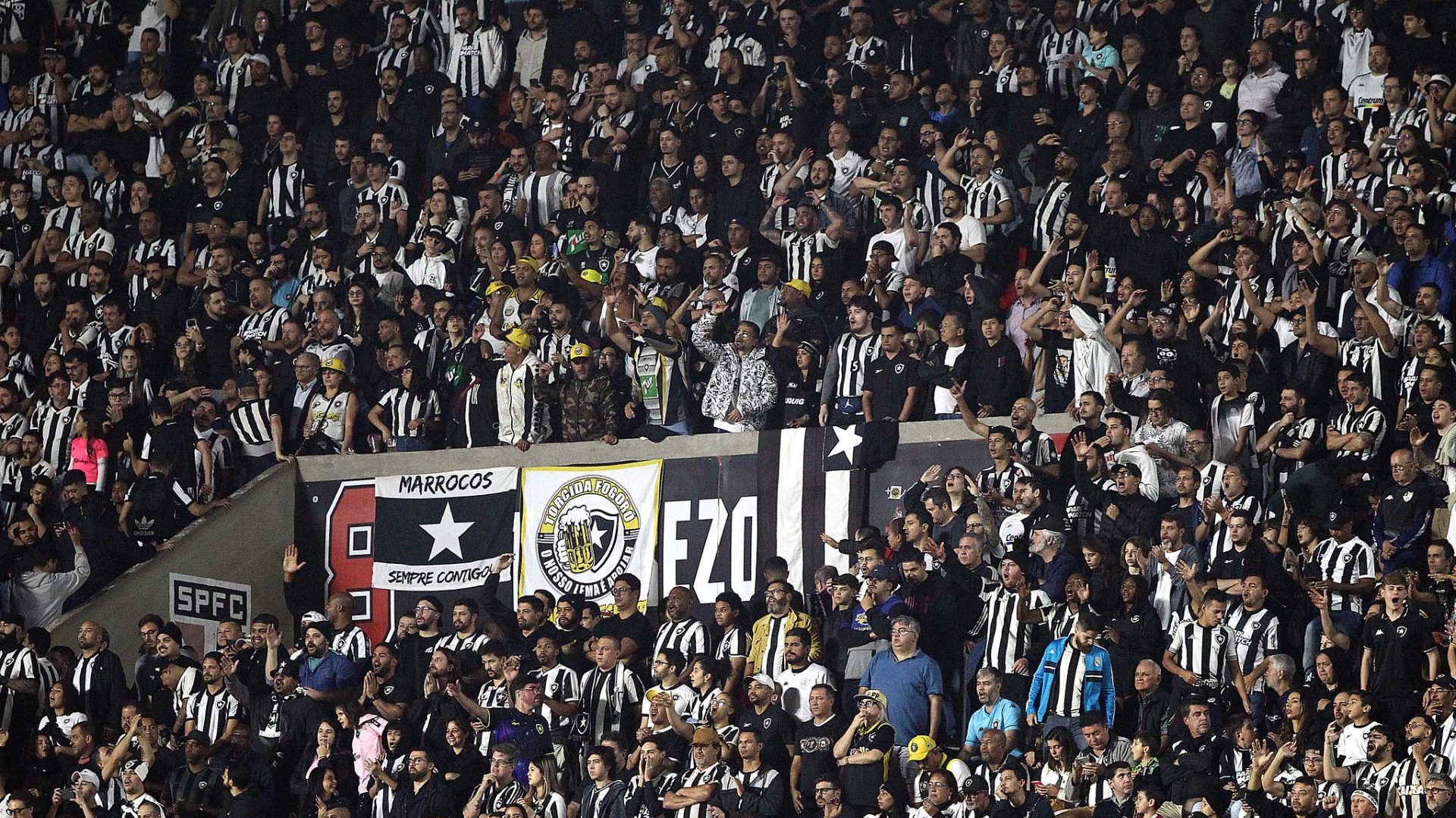 Torcida do Botafogo no estádio Nilton Santos (Vitor Silva/Botafogo)