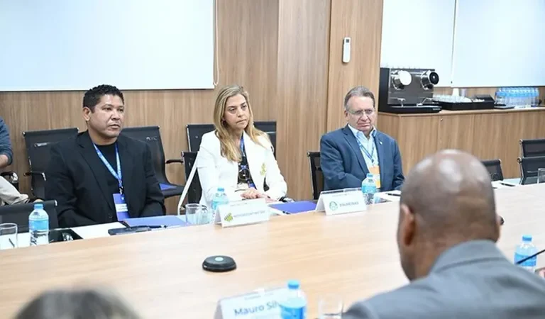 VAR do Paulistão 2026: Leila Pereira rebate São Paulo com firmeza