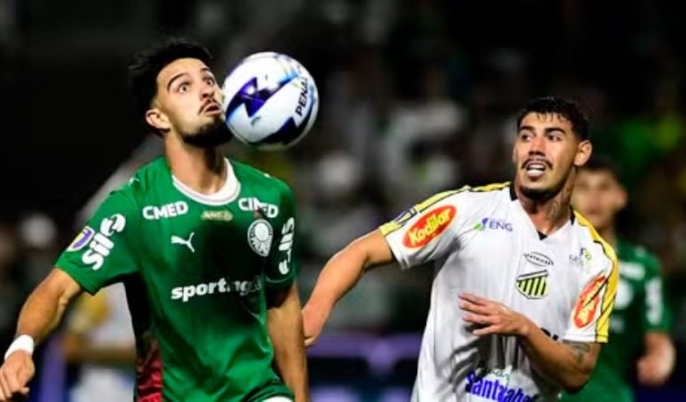 Resultado de Palmeiras x Novorizontino hoje: veja gols e destaques da final