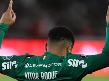 Reprodução: Instagram Palmeiras