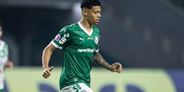 Luis Pacheco vem ganhando espaço no Palmeiras (Foto: Divulgação)